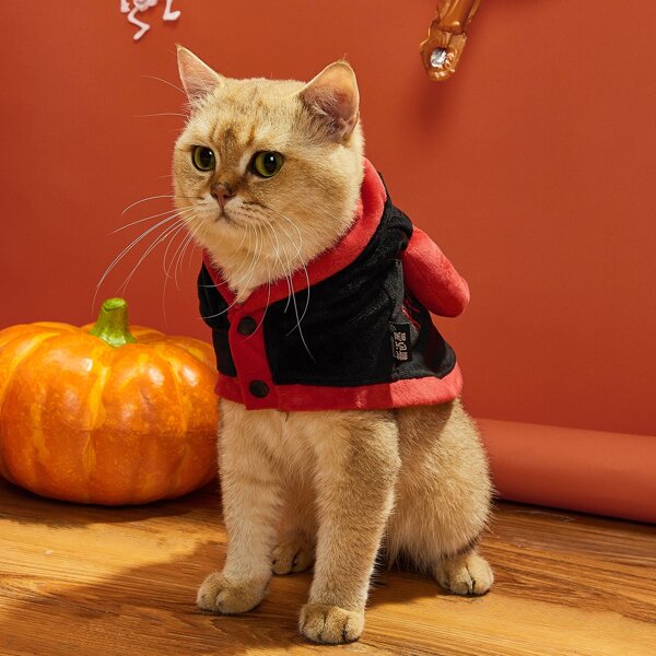 

Halloween Evil Cat Costume, Black