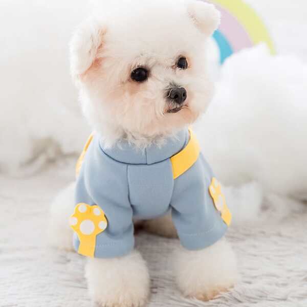 

Dog Sweatshirt With Backpack, Blue