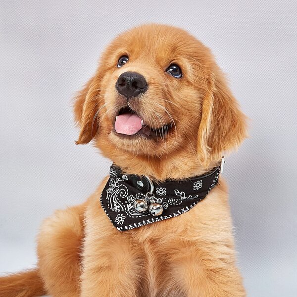 

1pc Dog Collar With Paisley Bandana, Black and white
