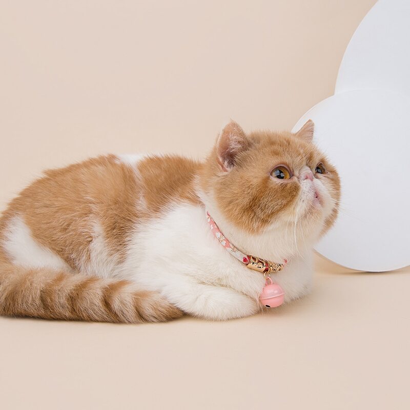 

Bell Decor Flower Print Cat Necklace, Pink