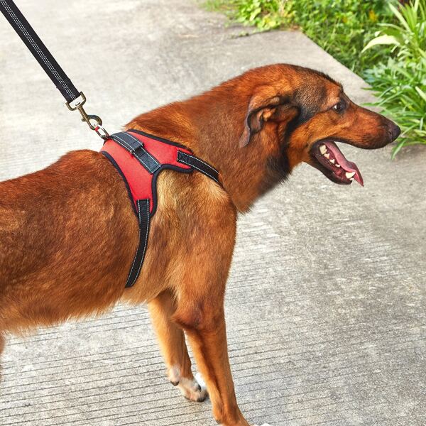 

1pc Dog Release Buckle Detail Harness, Red