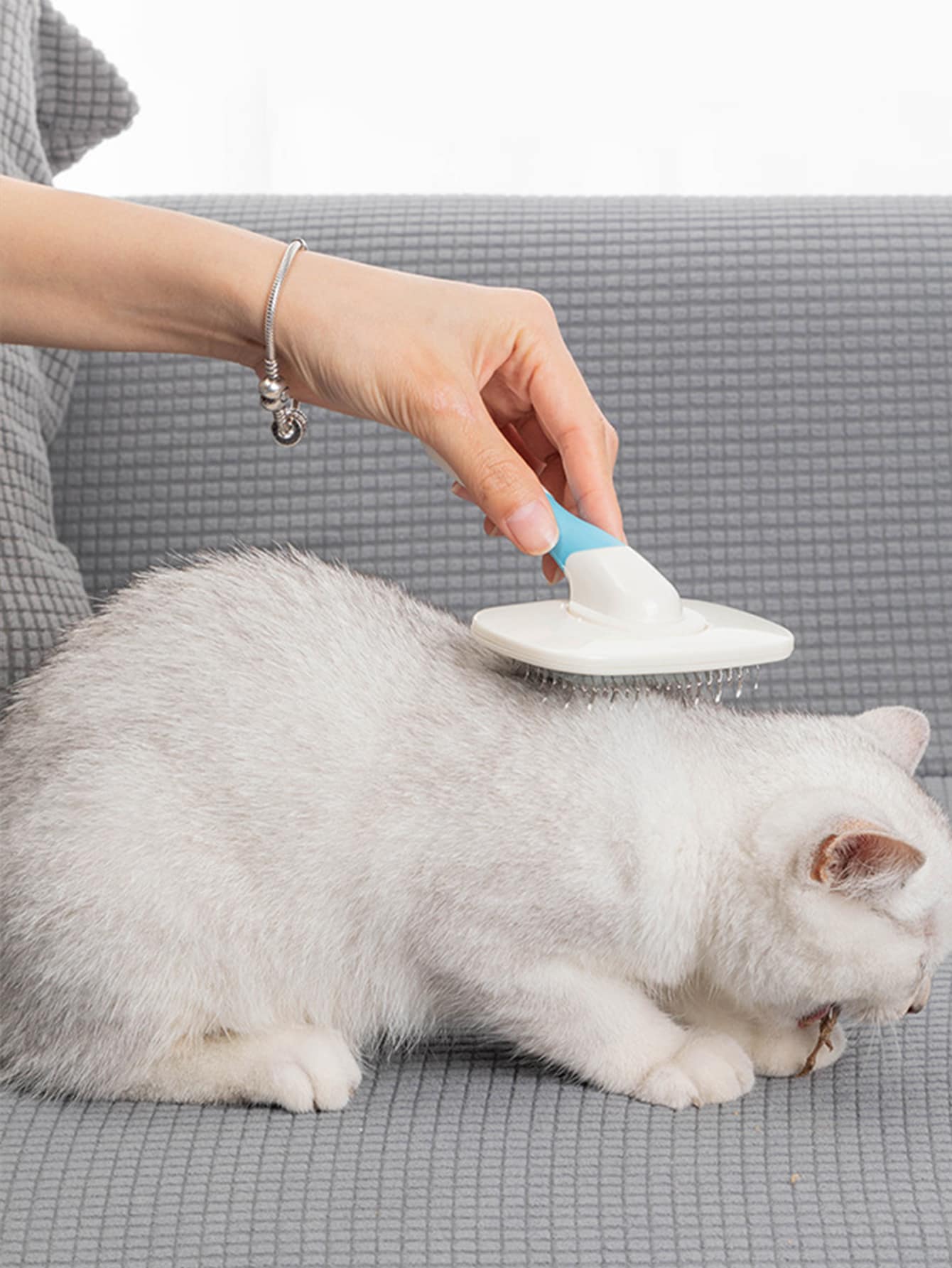 Peigne De Toilettage Rotatif Pour Chat Mode En Ligne Shein France