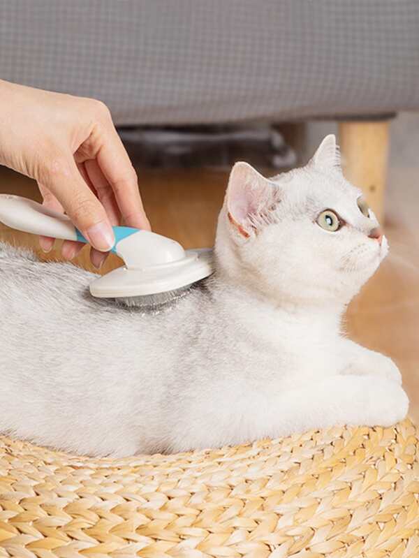 Peigne De Toilettage Rotatif Pour Chat Mode En Ligne Shein France