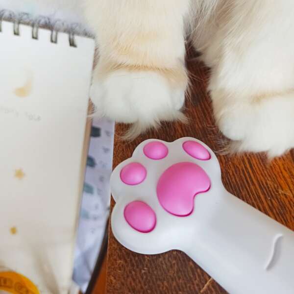 

Two Tone Cat Laser Exerciser, White