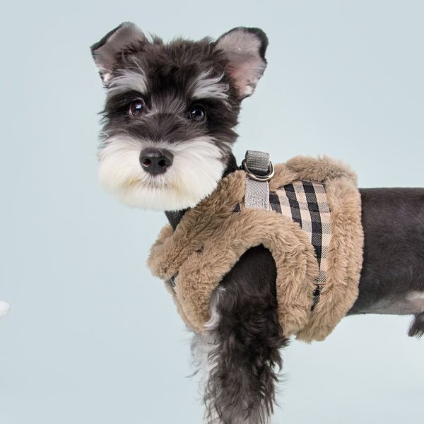 

1pc Plaid Plush Dog Harness & 1pc Dog Leash, Multicolor