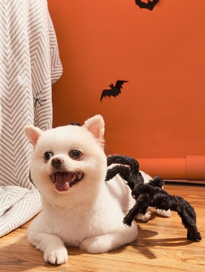 Игрушка для собак в форме паука на Хэллоуин