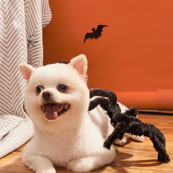 

Halloween Spider Shaped Dog Toy, Black