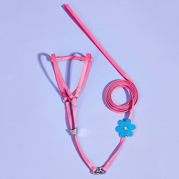 

Flower Decor Dog Harness With Dog Leash, Pink