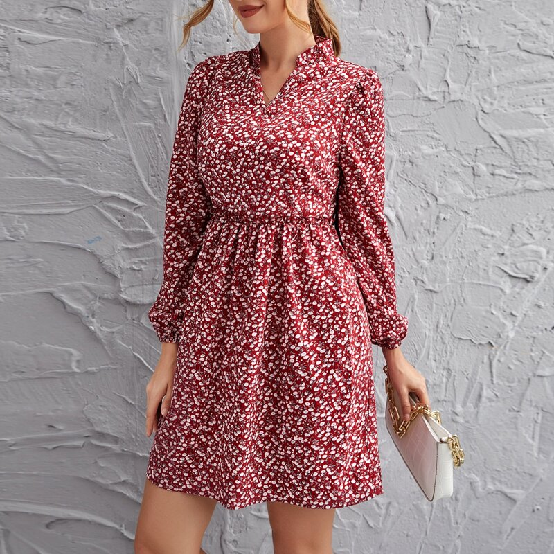 

Lantern Sleeve Ditsy Floral Print Dress, Burgundy