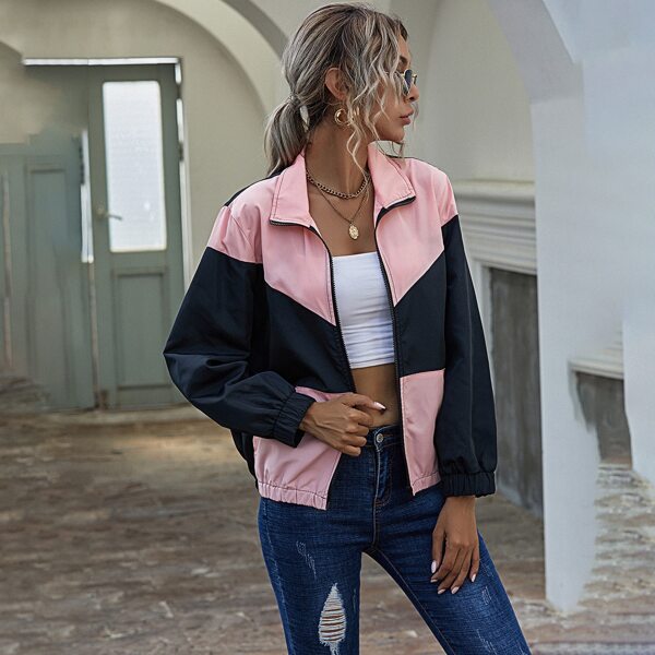 

Cut And Sew Zip Up Jacket, Multicolor