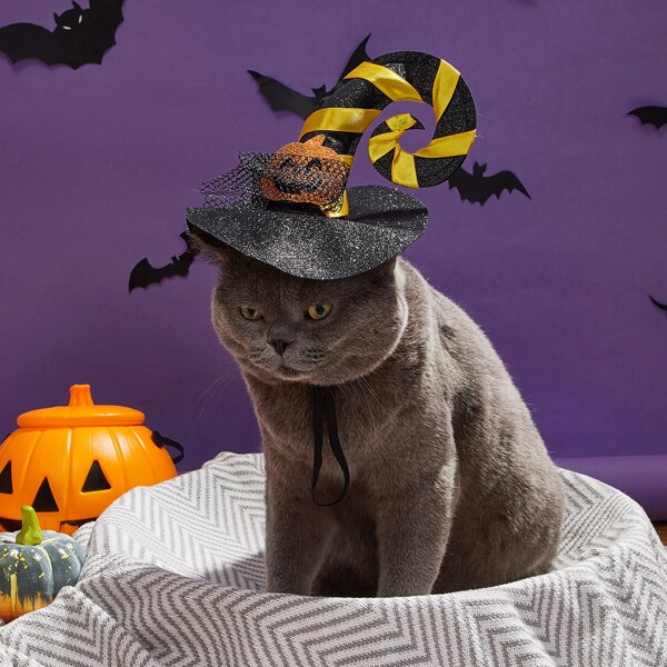 

Halloween Pumpkin Decor Dog Hat, Yellow