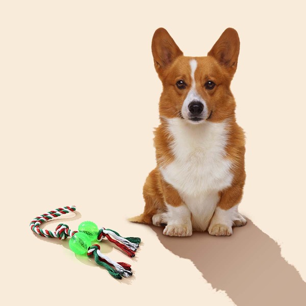 

Cotton Rope Dog Training Toy, Multicolor