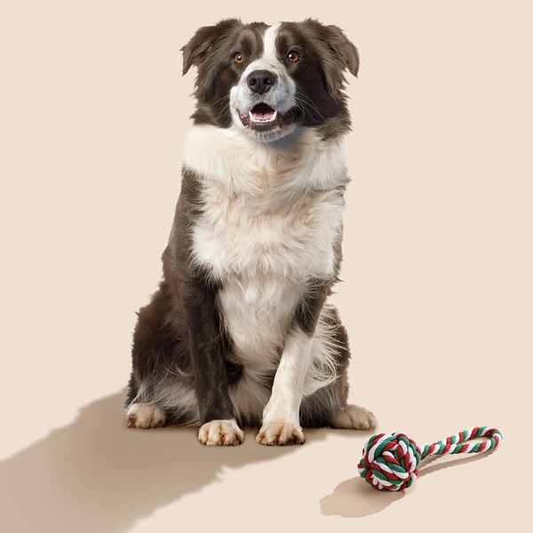 

Cotton Rope Dog Training Toy, Multicolor