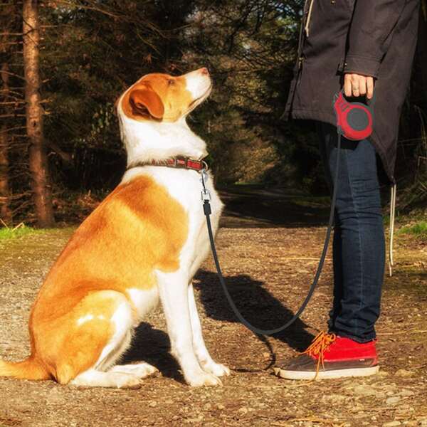

Dog Retractable Dog Leash, Red