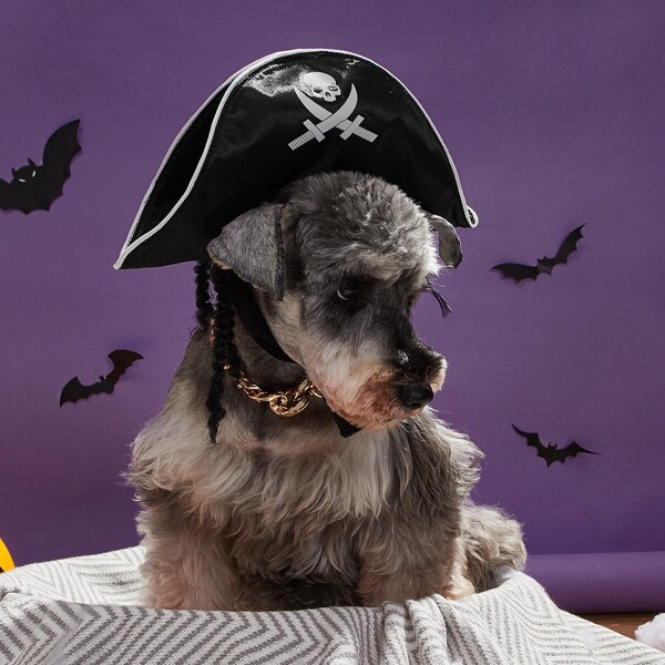 

Halloween Pirate Dog Hat, Black