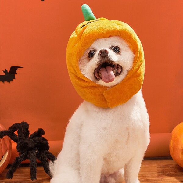 

Halloween Pumpkin Design Dog Hat, Orange