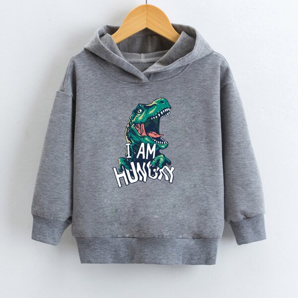 

Boys Dinosaur & Slogan Graphic Sweatshirt, Grey