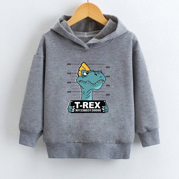 

Boys Cartoon & Letter Graphic Hoodie, Grey
