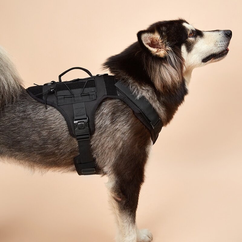 

No Pull Dog Harness, Black