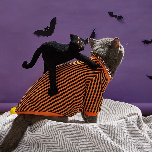 

Halloween Striped Cat Costume, Orange