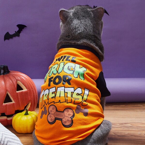 

Halloween Letter Graphic Cat Tee, Orange