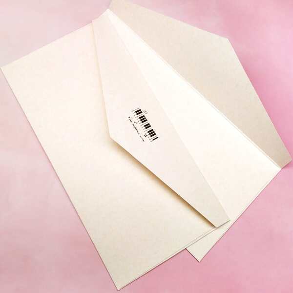 

2pcs Music Notes Print Envelope, White