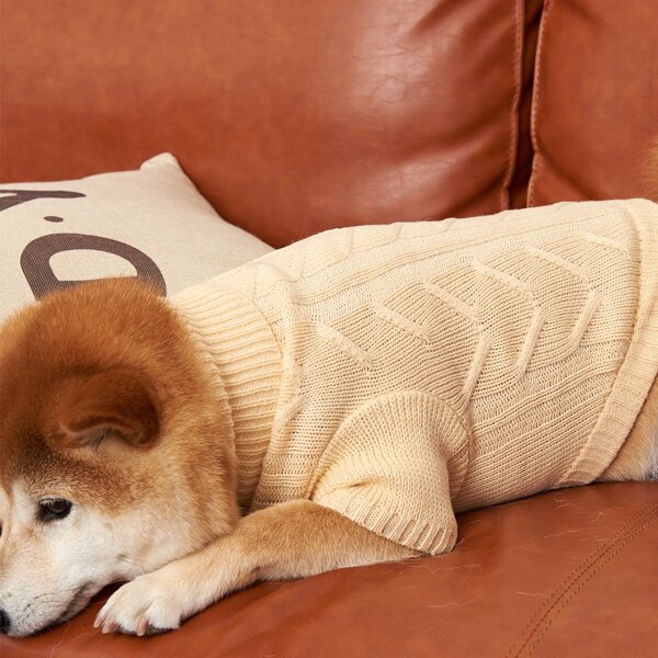 

Solid Dog Sweater, Khaki