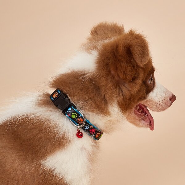 

Paw Print Dog Collar, Multicolor