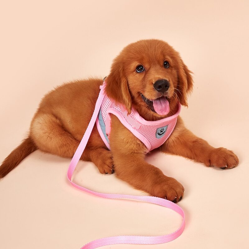 

1pc Reflective Dog Harness & 1pc Dog Leash, Pink