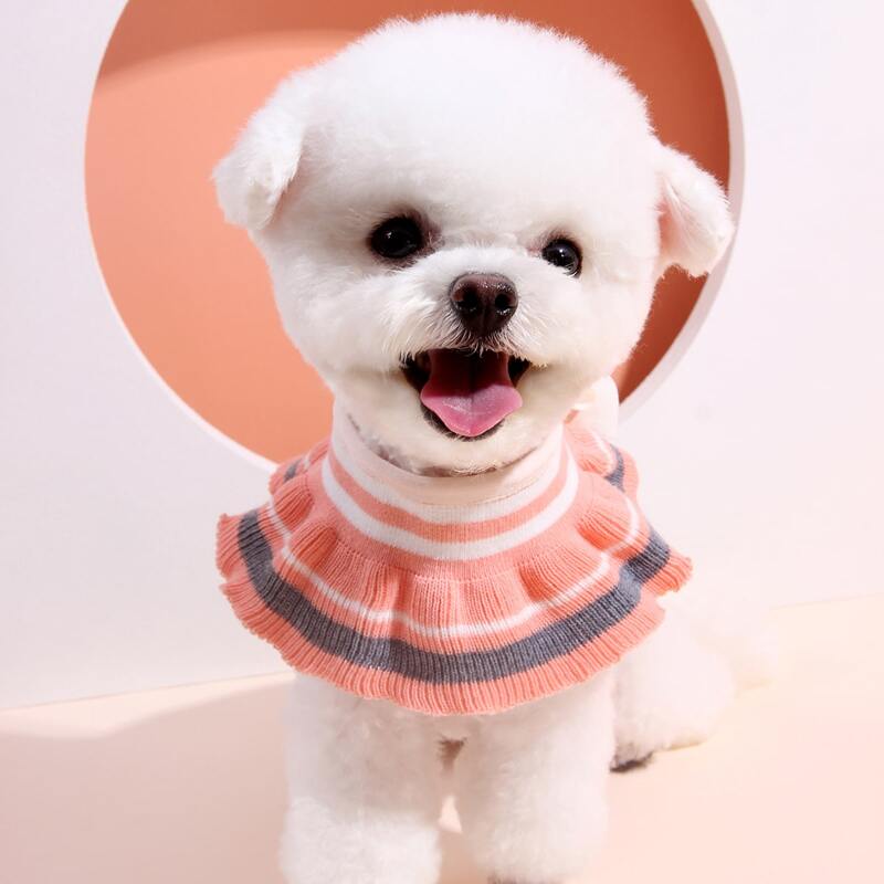 

Colorblock Ruffle Hem Dog Collar, Pink