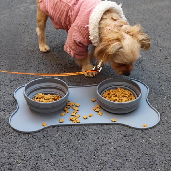 

Portable Silicone Double Bowl With Mat, Grey
