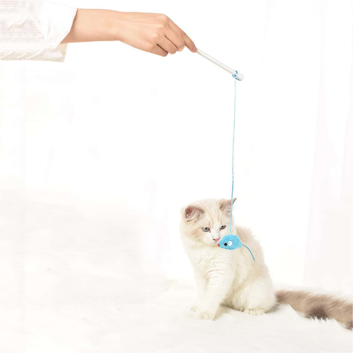 

1pc Random Color Cat Teaser Stick, Blue and white