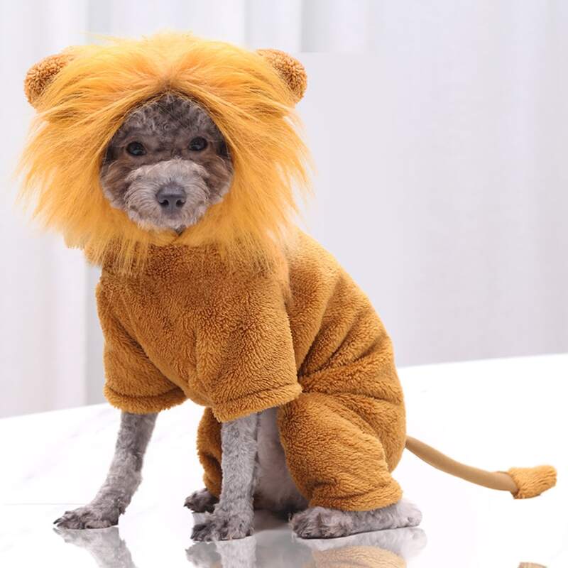 

Lion Design Dog Costume, Gold