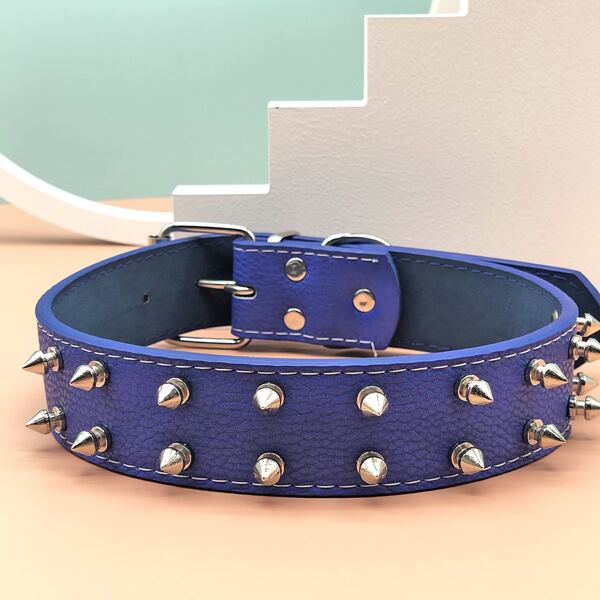 

Rivet Decor Dog Collar, Blue