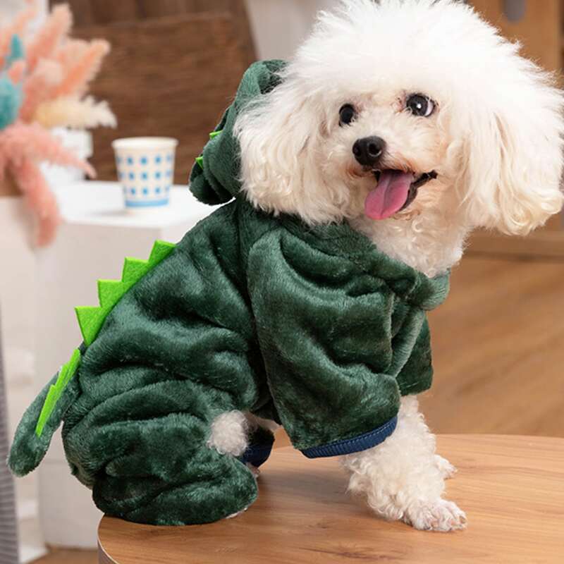 

Dinosaur Design Dog Jumpsuit, Green