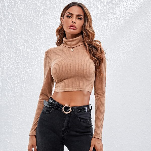 

High Neck Rib-knit Crop Tee, Brown