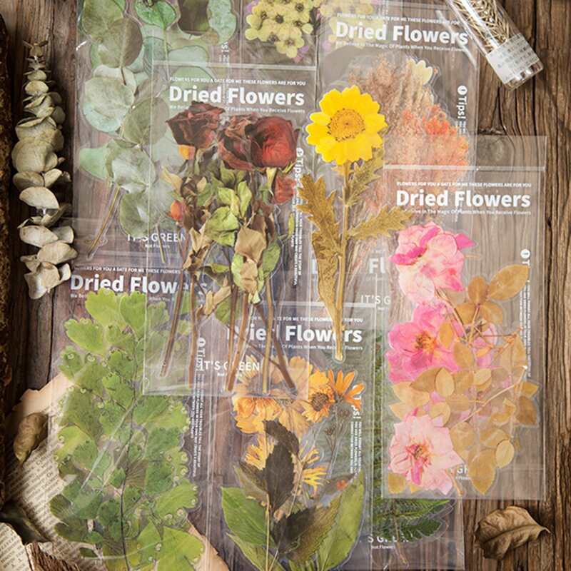

6pcs Random Plants Sticker, Multicolor