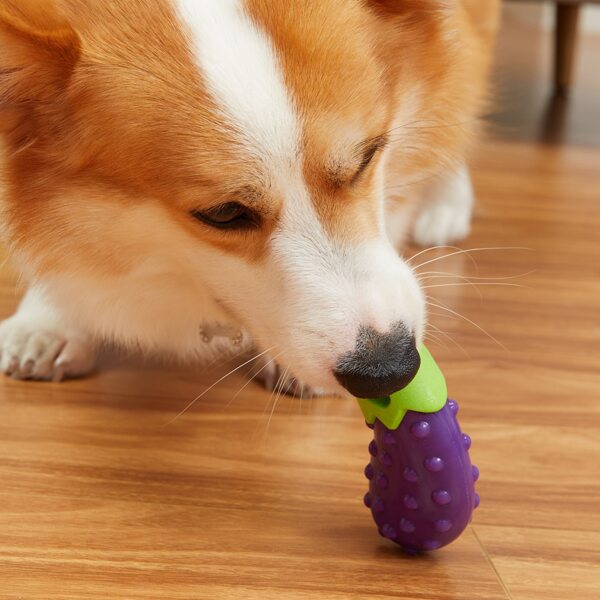 

Eggplant Shaped Dog Toy, Purple