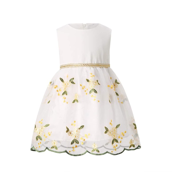 

Toddler Girls Tie Back Embroidery Mesh Gown Dress, White