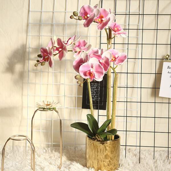 

1branch Artificial Flower With 5pcs Head, Pink