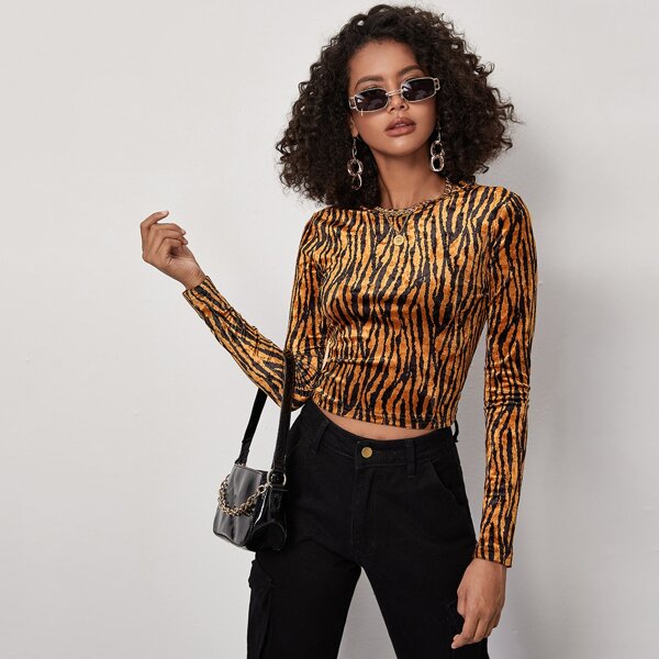 

Zebra Striped Velvet Crop Tee, Multicolor