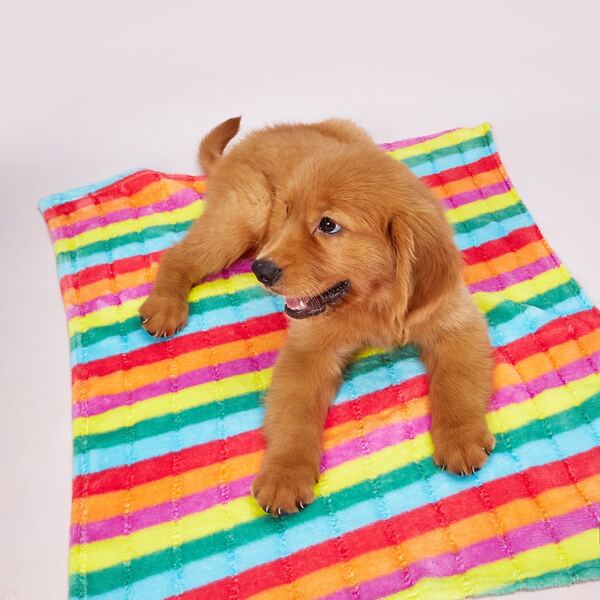

1pc Rainbow Stripe Dog Blanket, Multicolor
