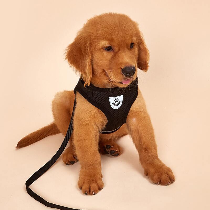 

1pc Dog Reflective Harness With 1pc Leash, Black