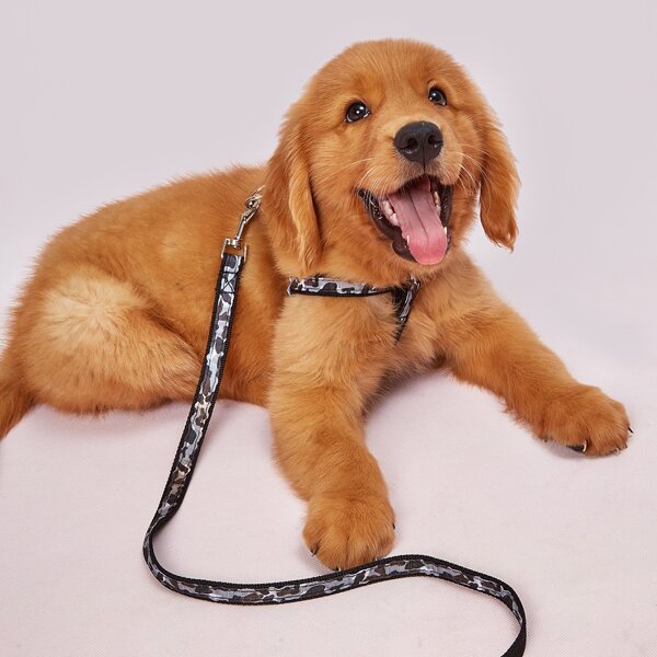 

1pc Camo Print Dog Harness With 1pc Leash, Multicolor