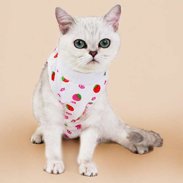 

Strawberry Print Cat Pajama, Multicolor