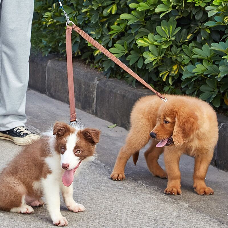 

1pc Dog Double-Ended Leash, Coffee brown