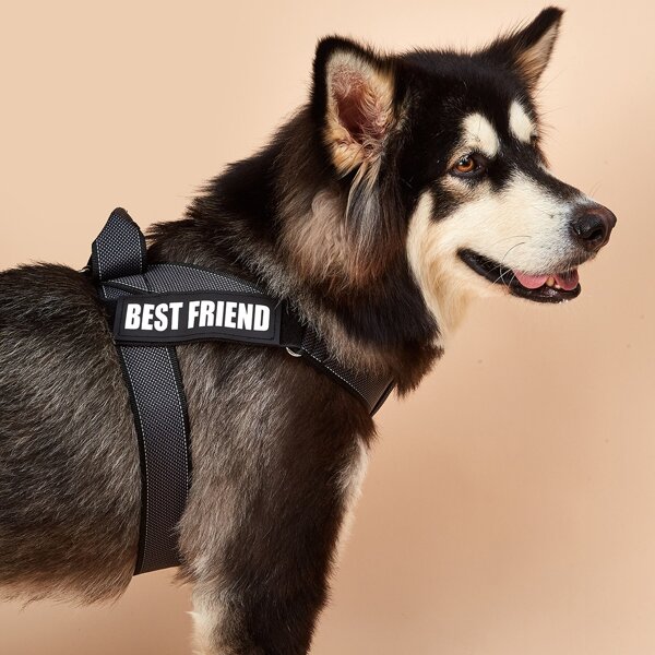 

1pc Letter Graphic Dog Harness, Black