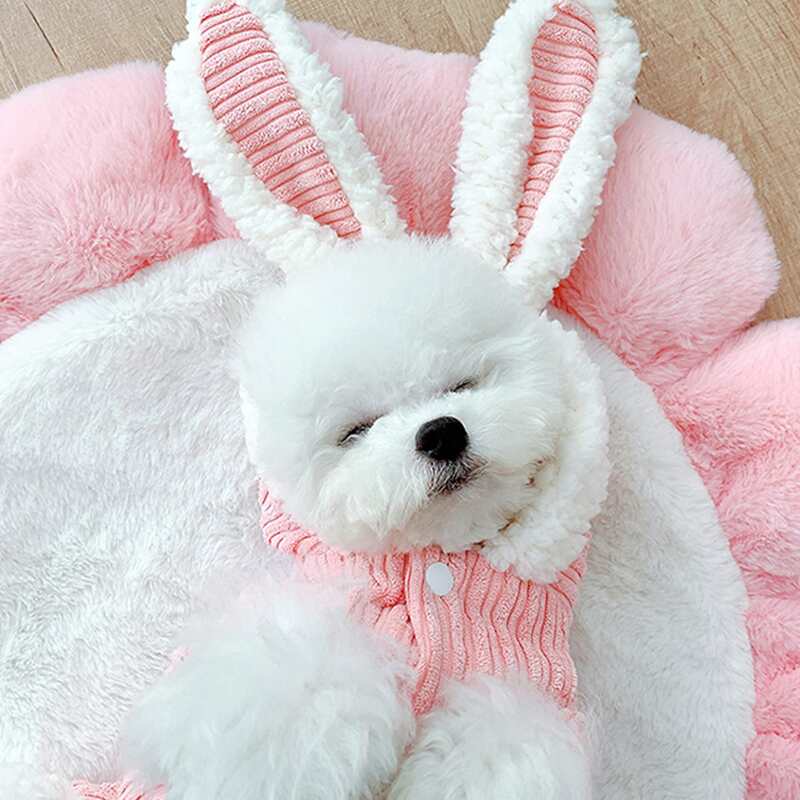 

Snap Button Cute Dog Coat, Pink