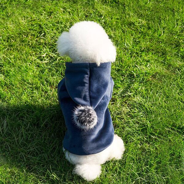 

Pom-pom Decor Dog Hoodie, Blue