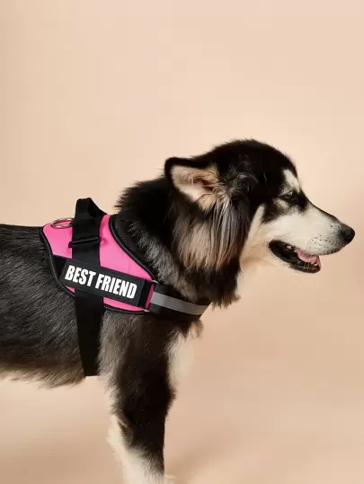 1 pieza arneses de perro con letra - Suministros para mascotas